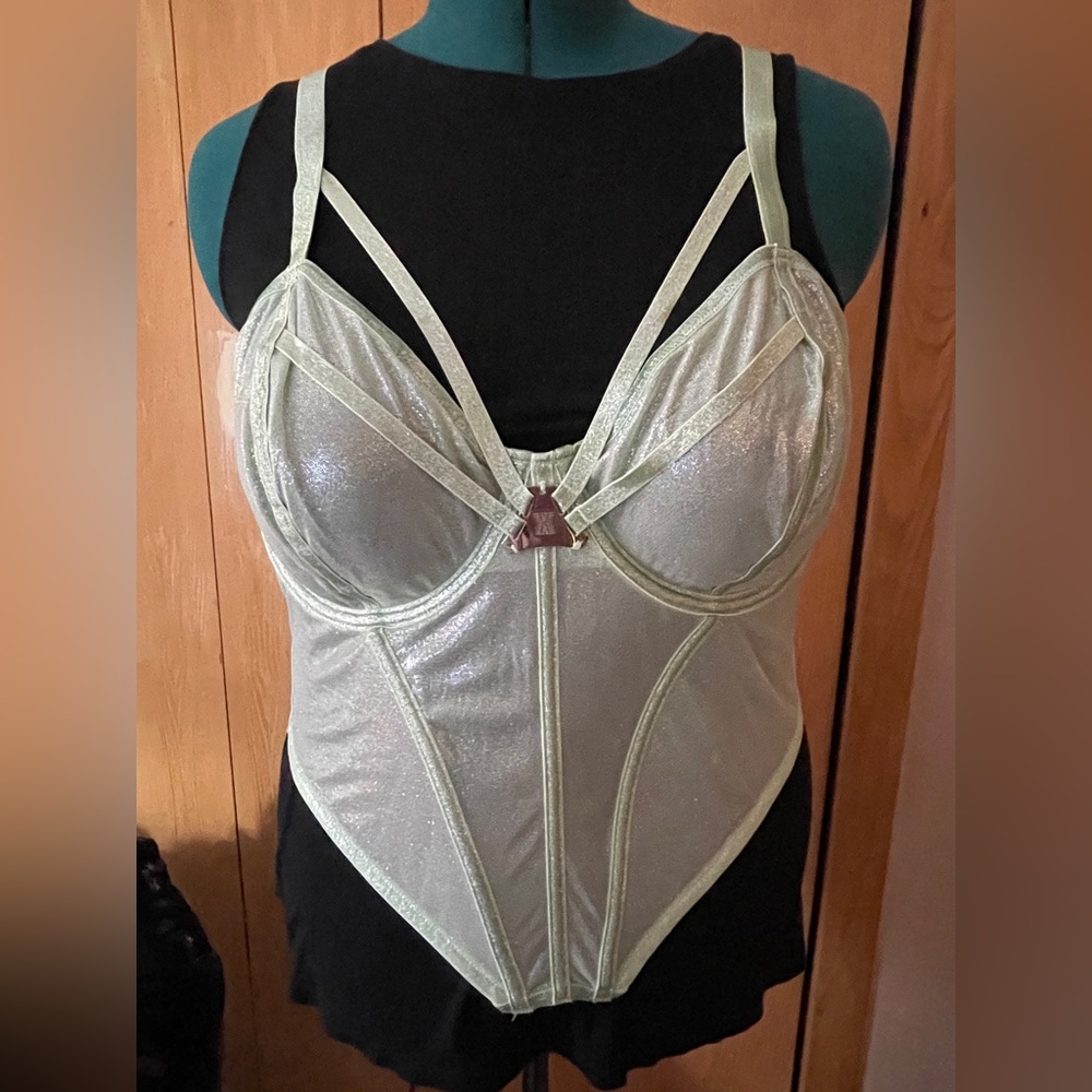 Savage x Fenty GOING PLATINUM MESH BUSTIER Green Mist, 3X